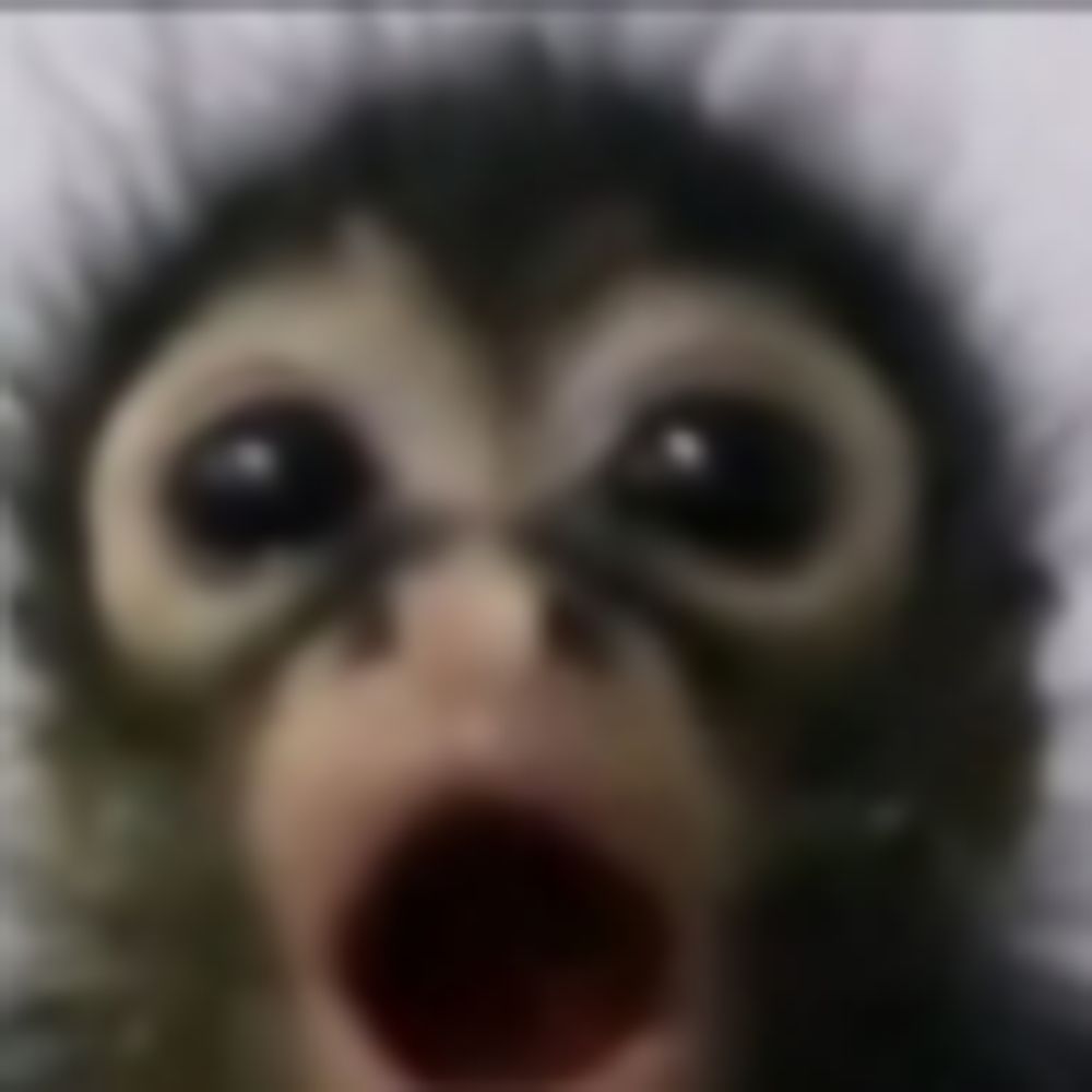 FireMonkey