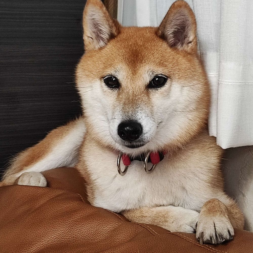 九時五時アオノソラ