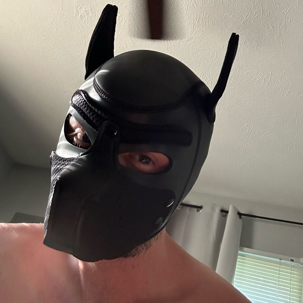 Pup Hyzer