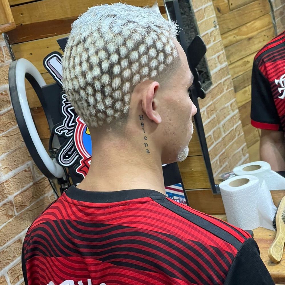 orelha7