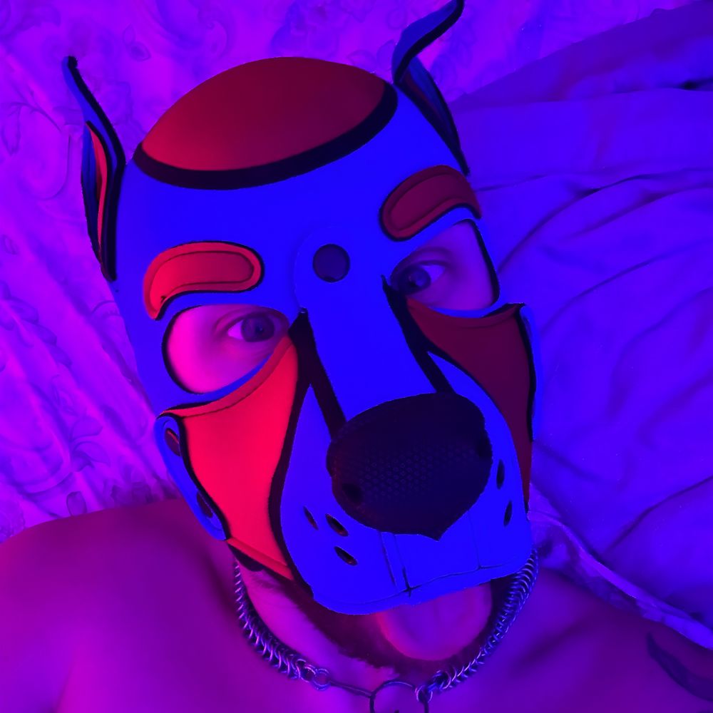 Puppy Beatz