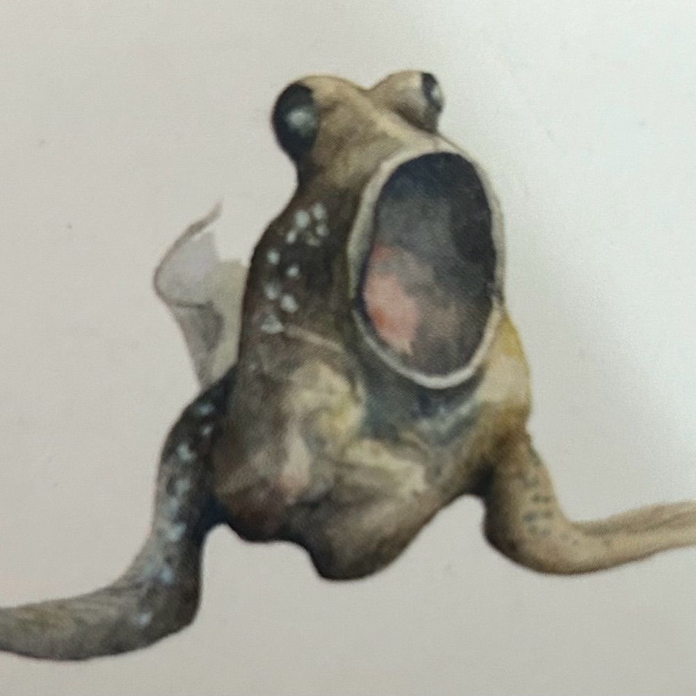 Mudhopper Creative