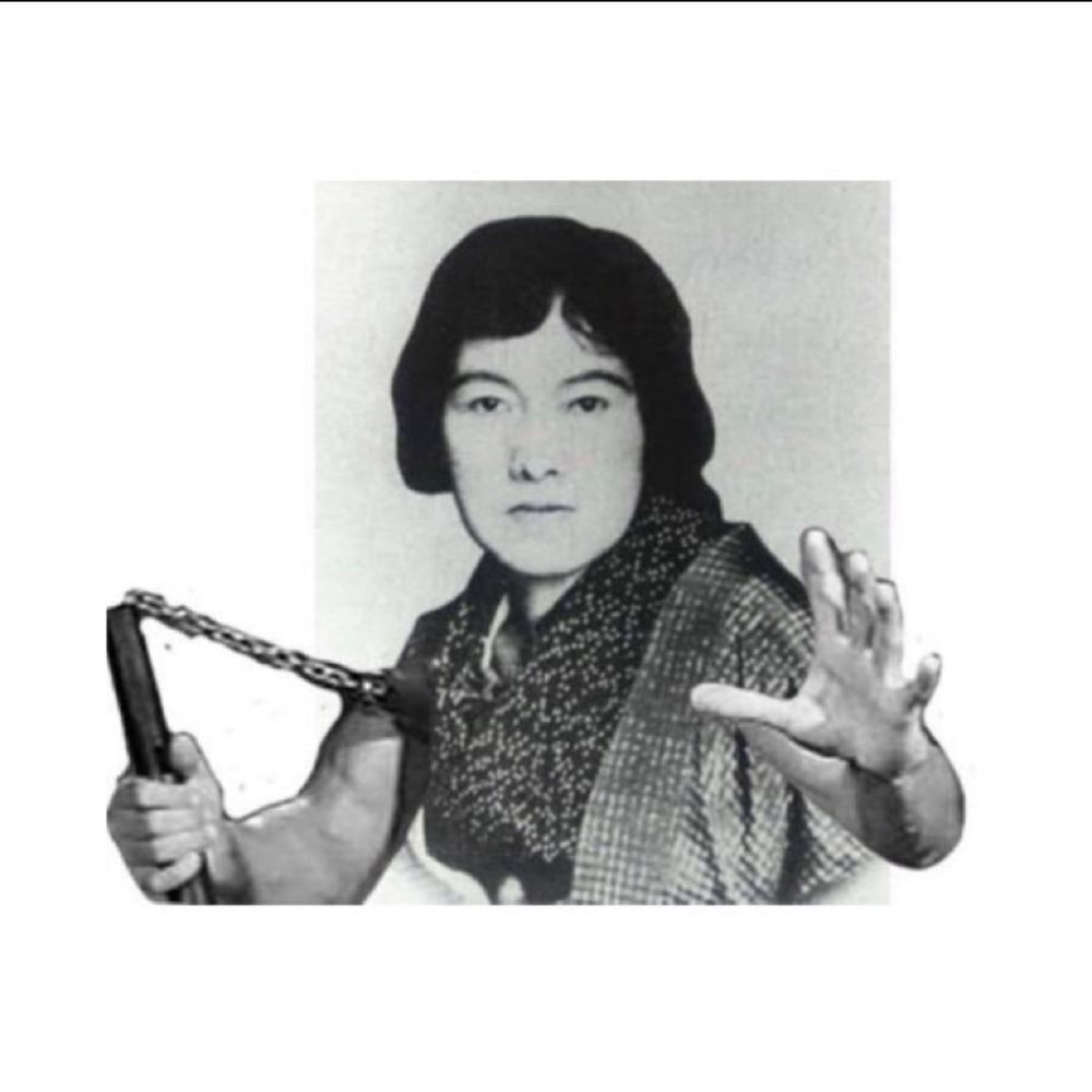 赤狐