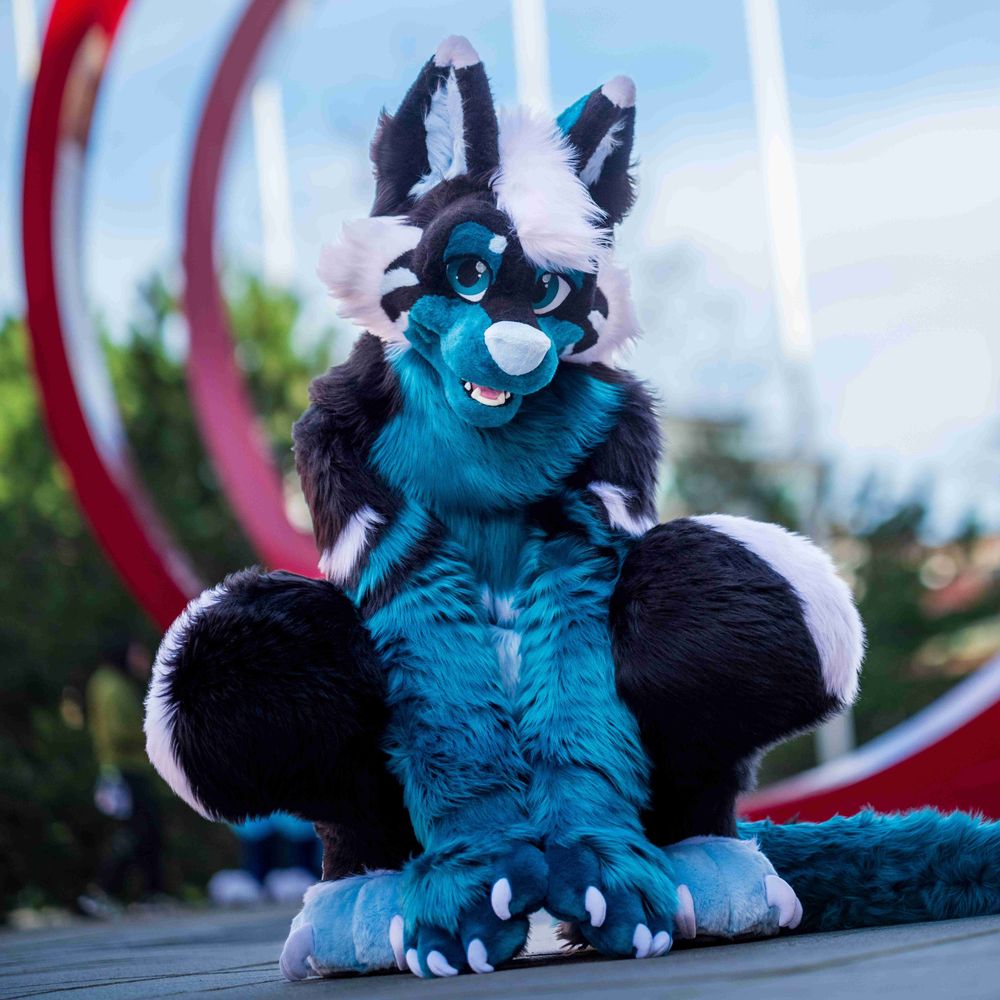 Dargo The Dragon 🔜 East12, EF28's avatar