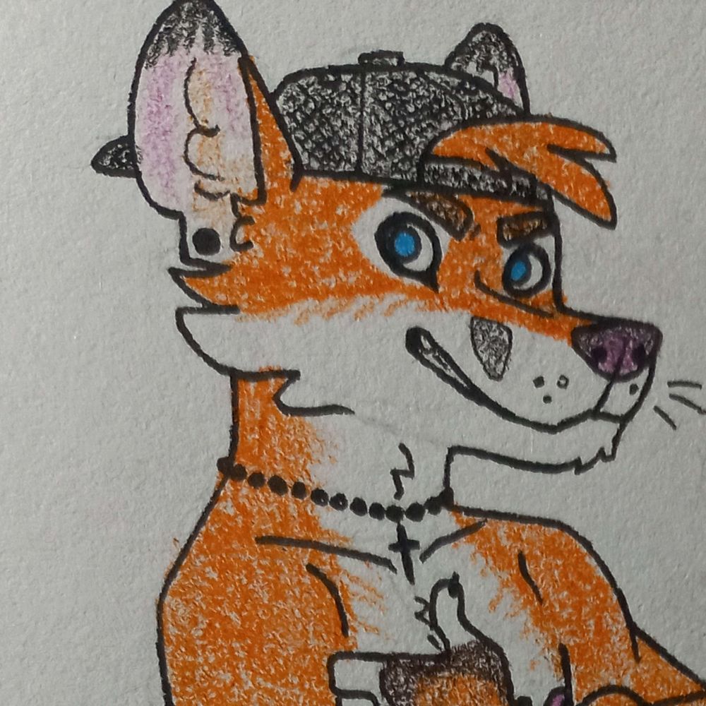 Chris the Fox 🇵🇱🏳️‍🌈