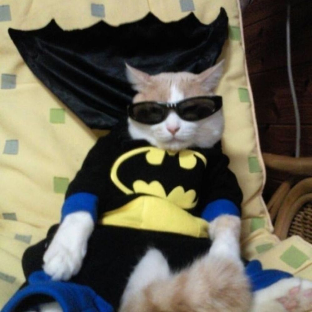 BATMAN DAS PROMOS