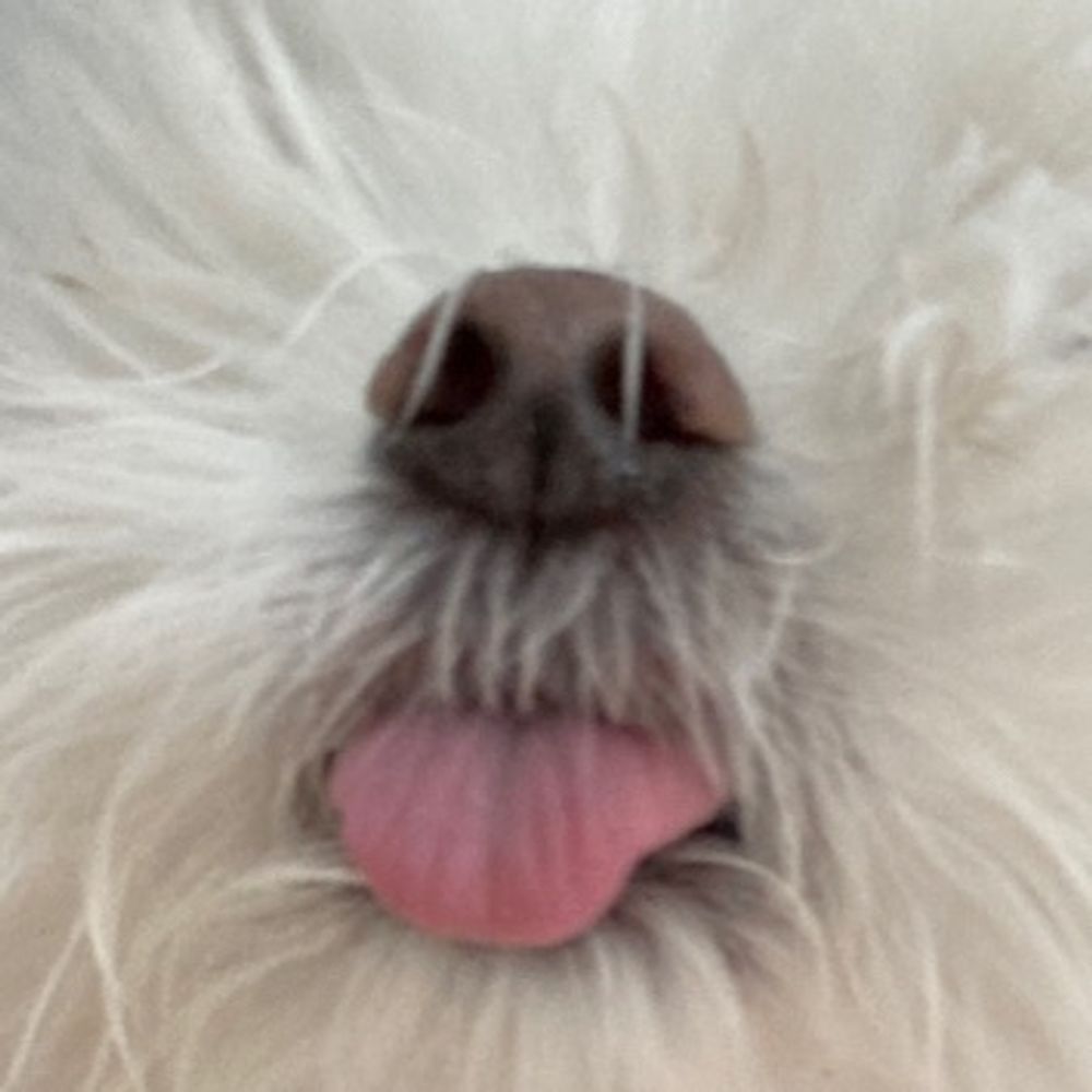 케이