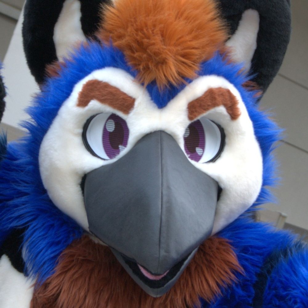 Sulfer or a birb
