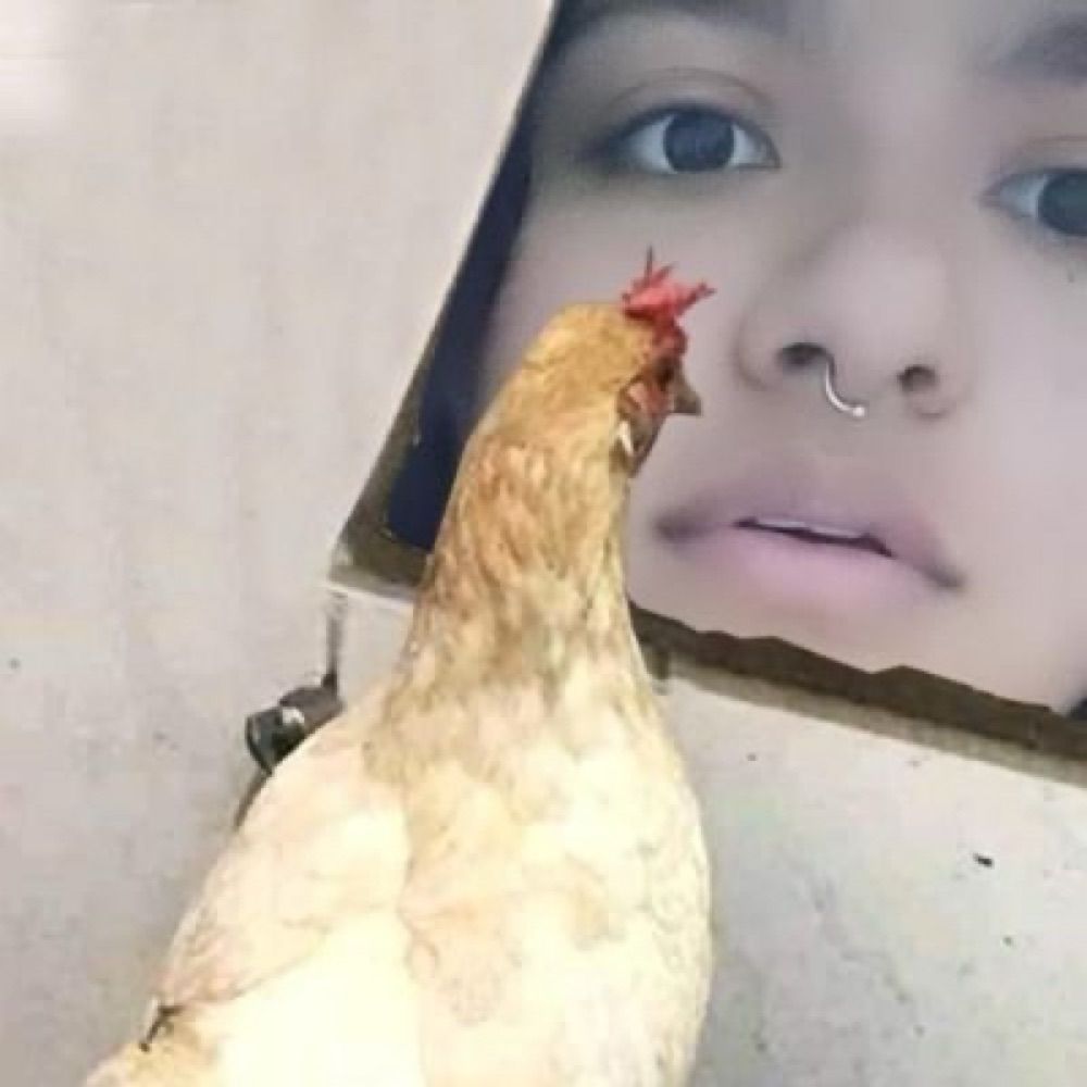 Manu sol