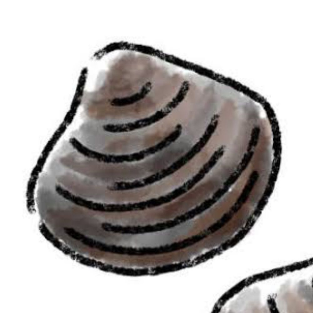 しじみ（443）