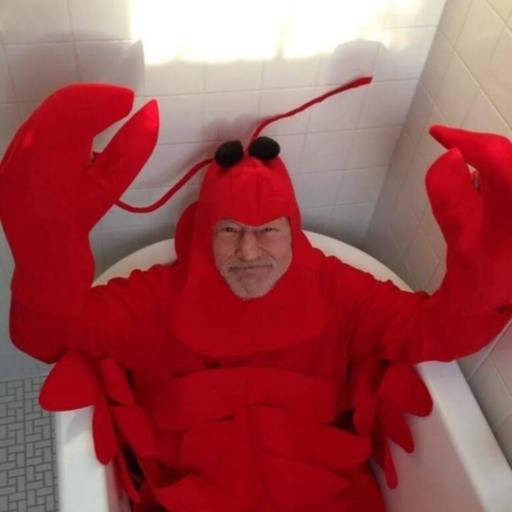 지렁이젤리