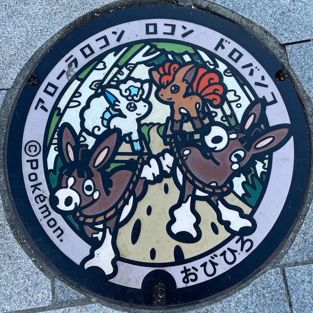 走り回るSHUN