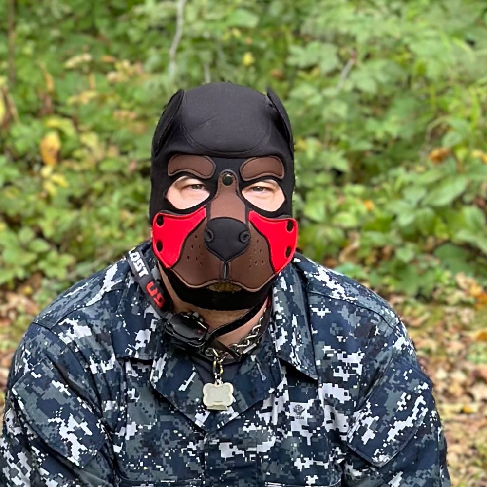 DozerDog