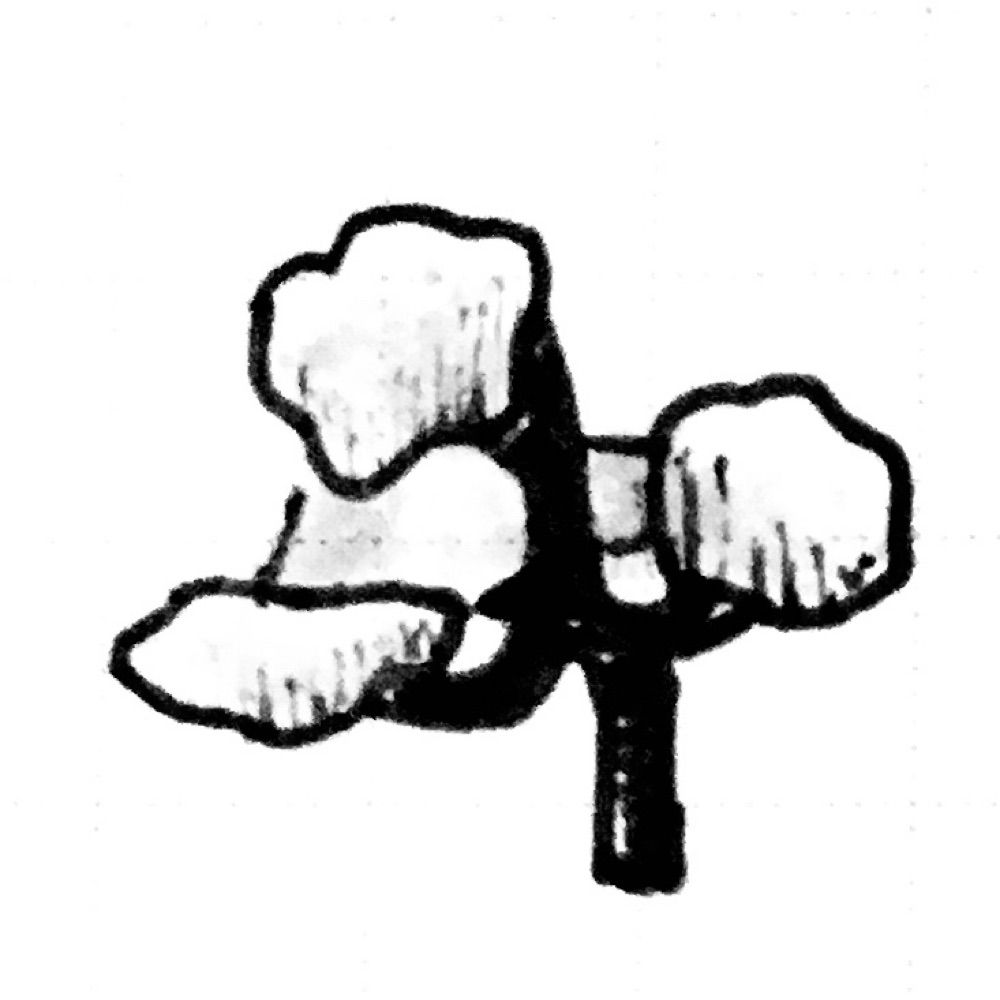 西