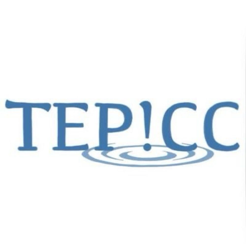 Trainee EPs' Initiative for Cultural Change