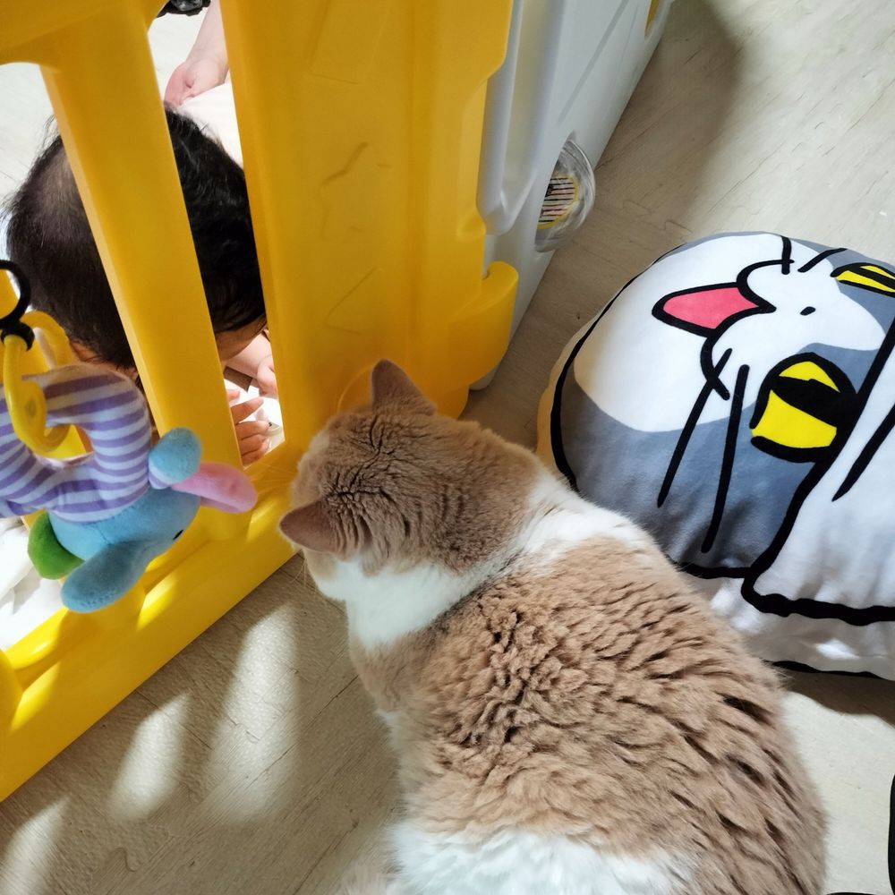 ショコラエリーゼ@ベリアス鯖