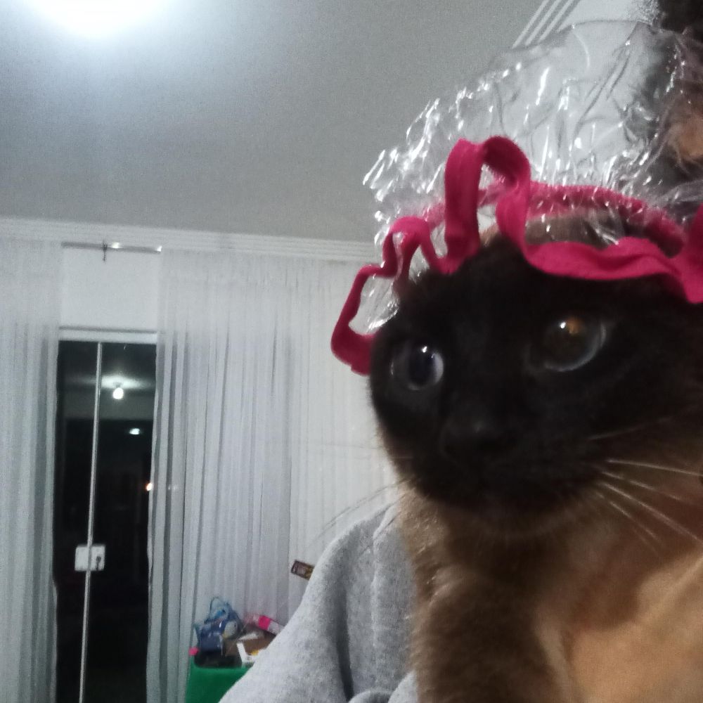 Luluzinha 