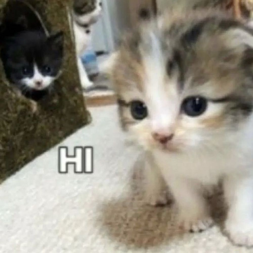curious tony!