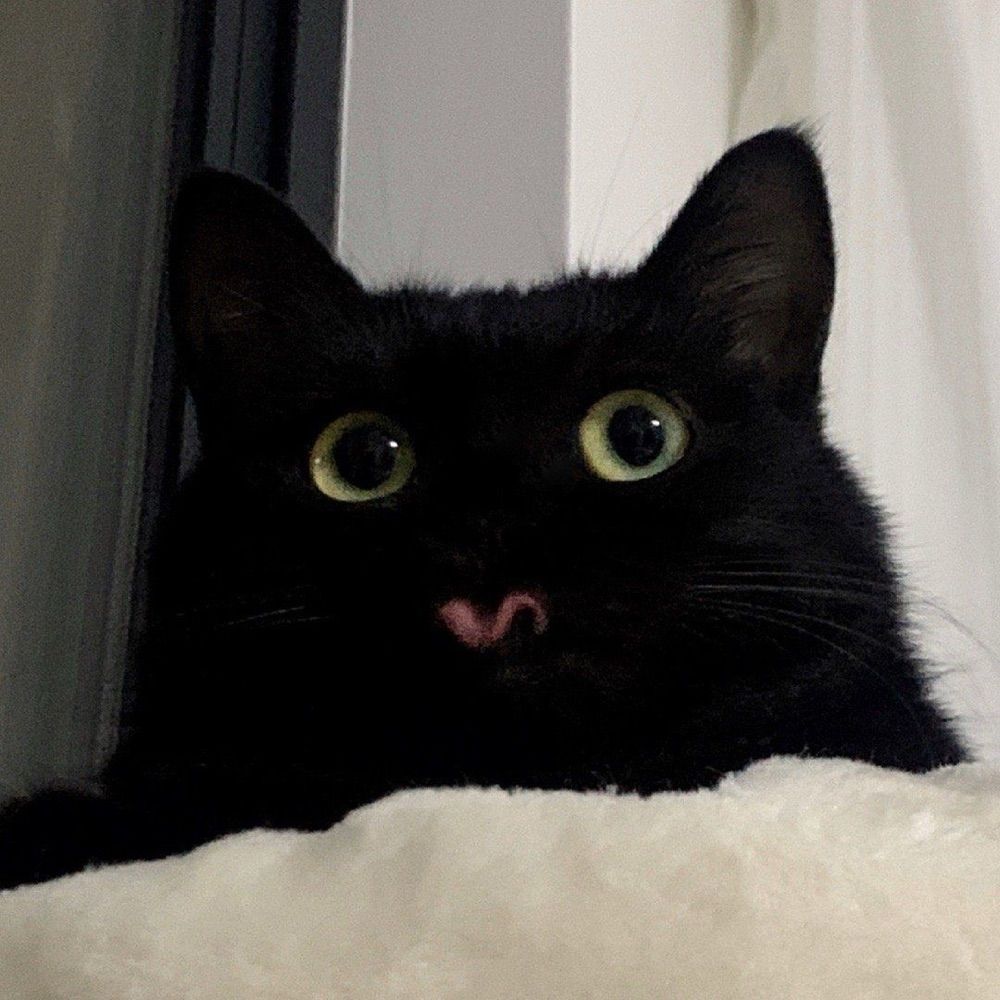 Let 