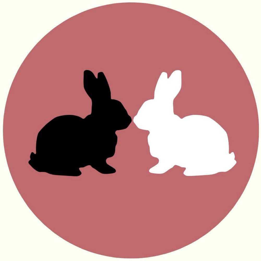 rabbit rabbit