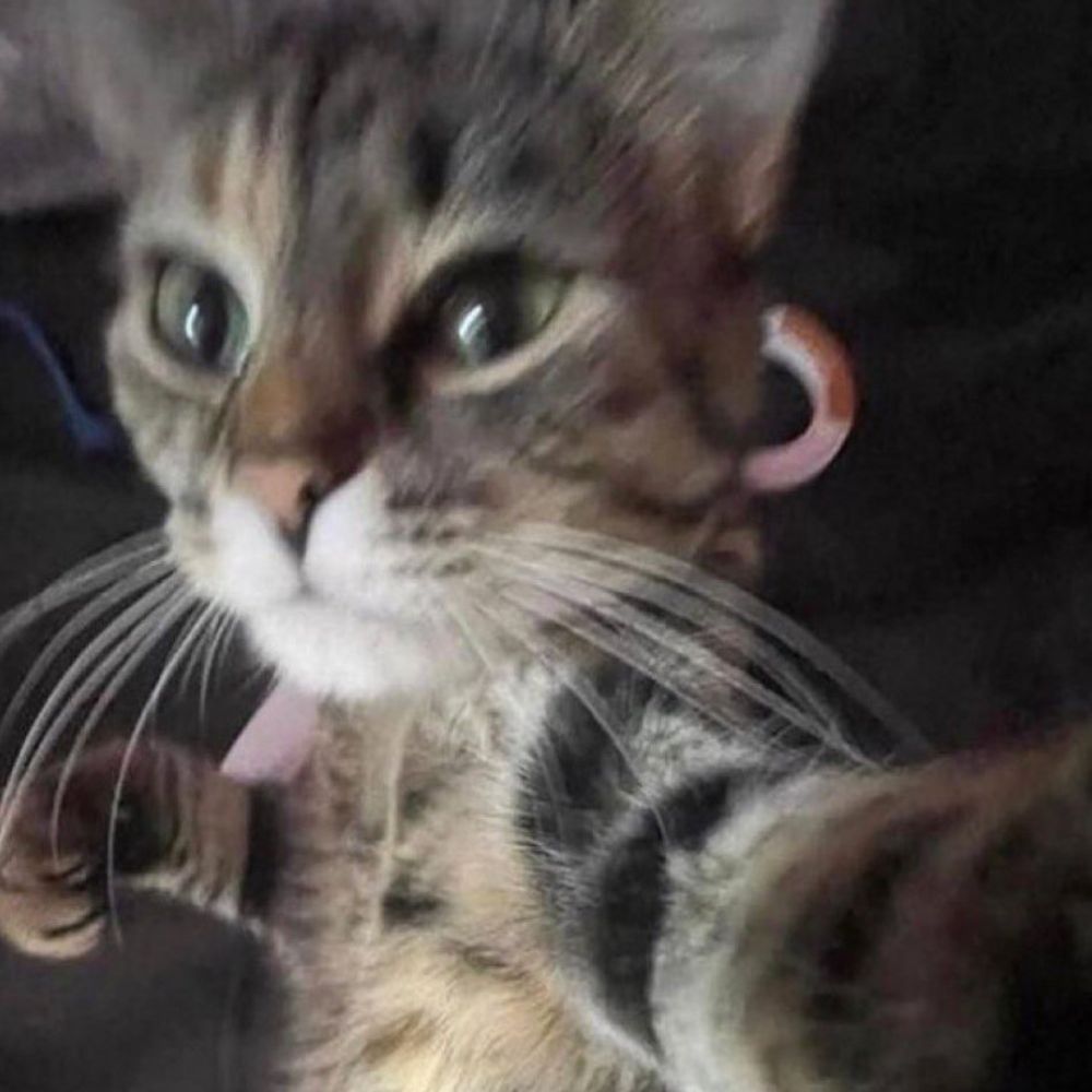 booger