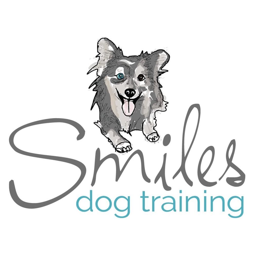 Sara Miles 🐕 Dog Trainer & Behavior Specialist 🌵Phoenix, AZ