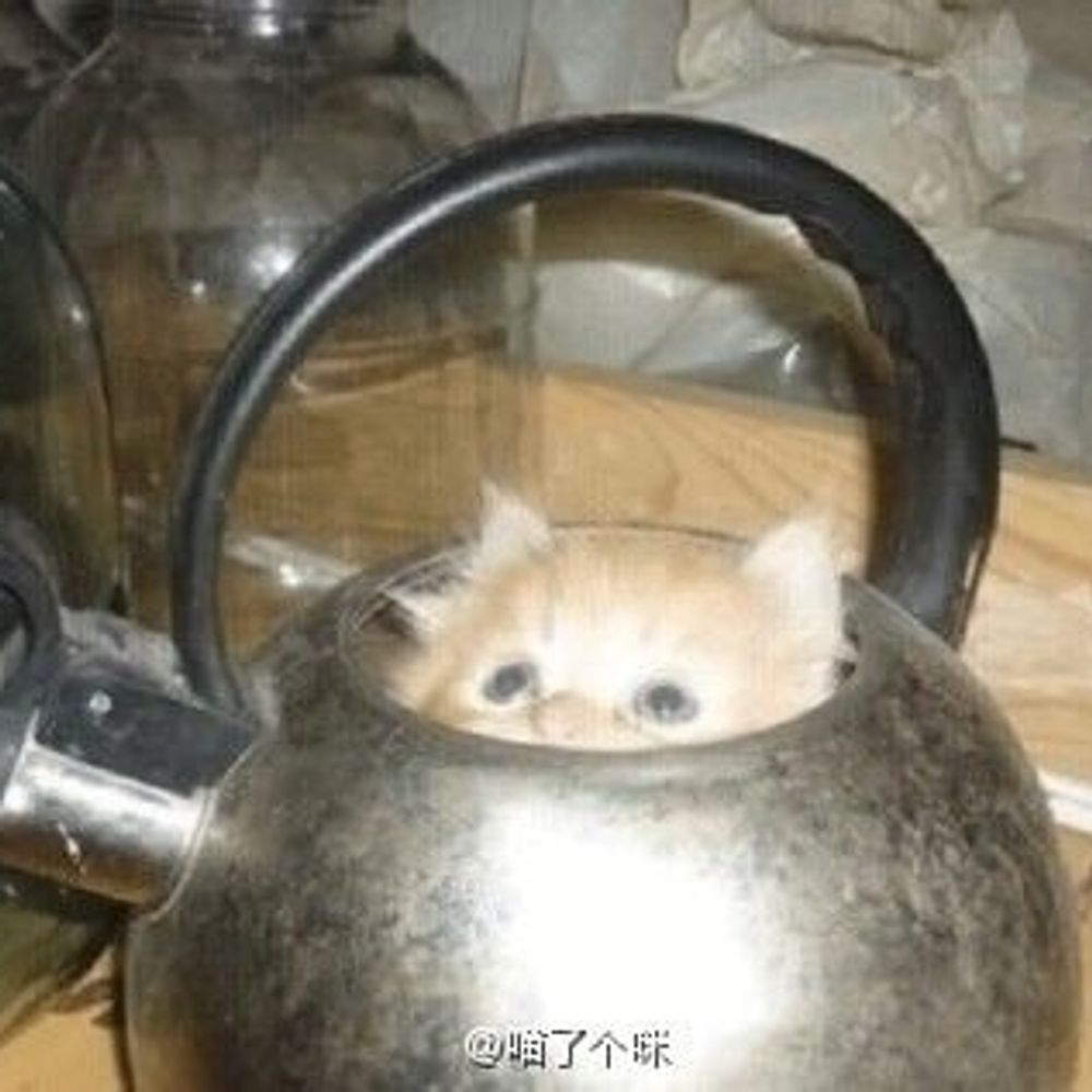 soup
