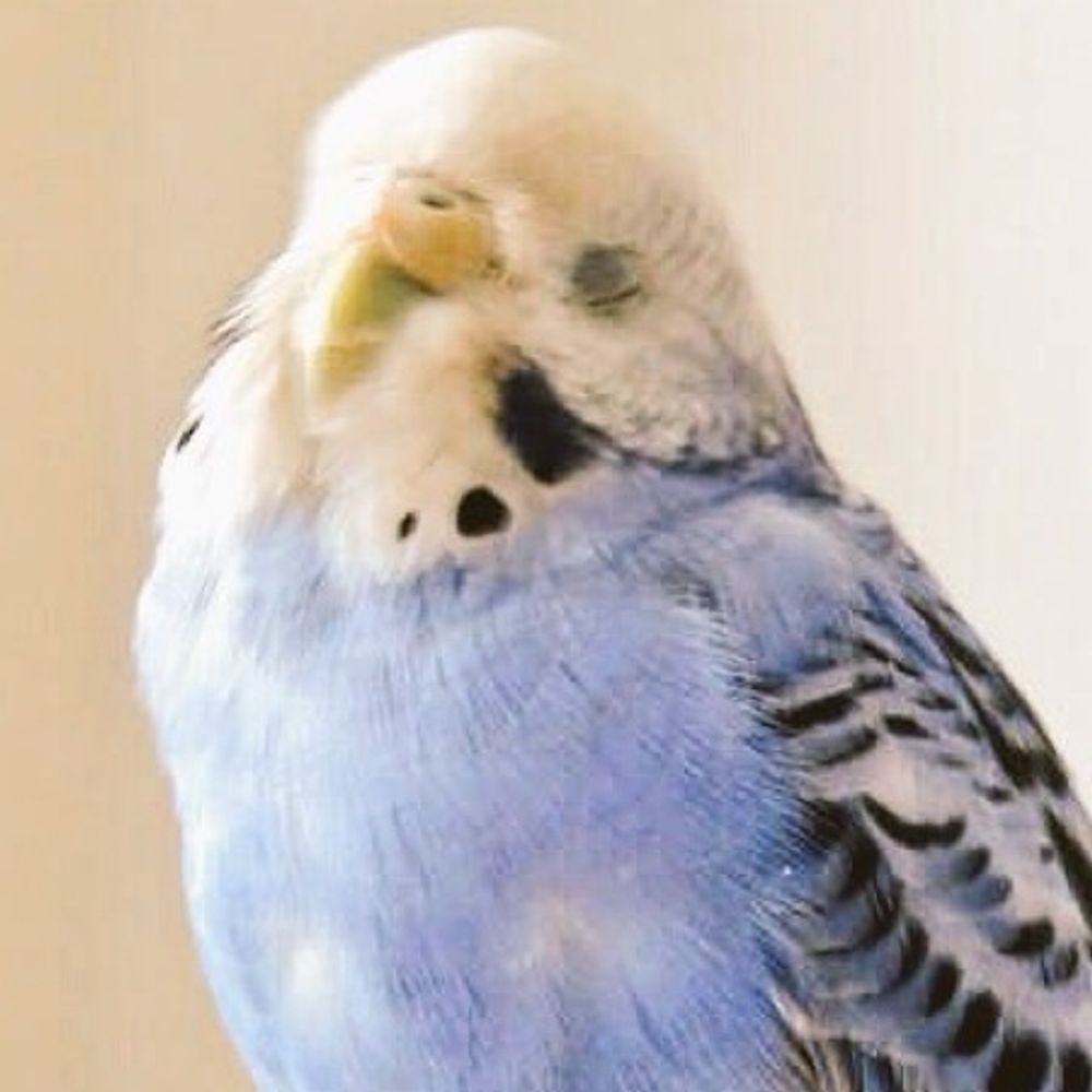 ﾇ