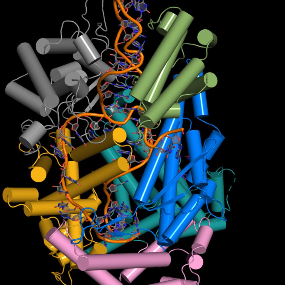 Schneider lab