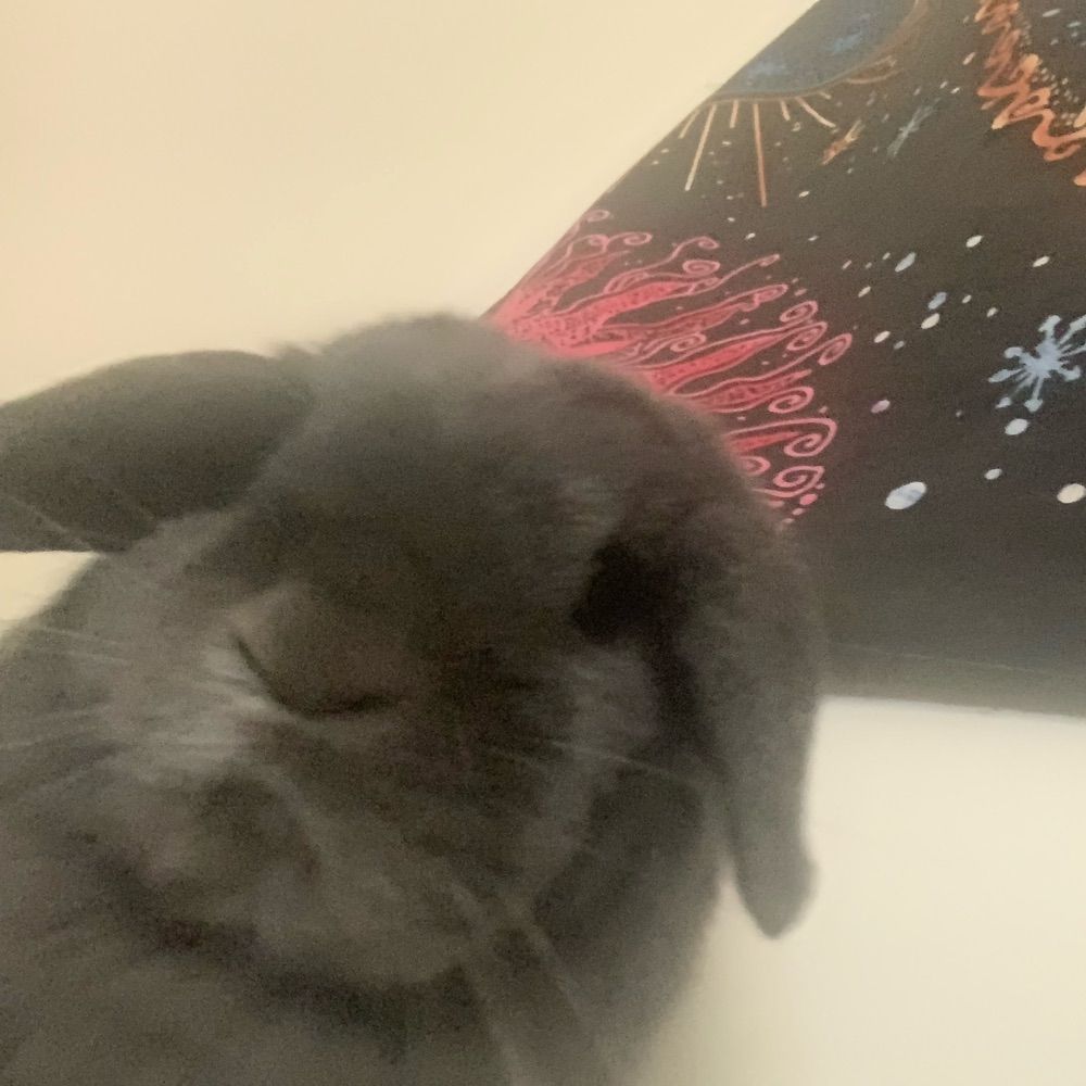✿