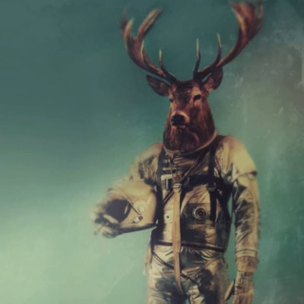Space Buck