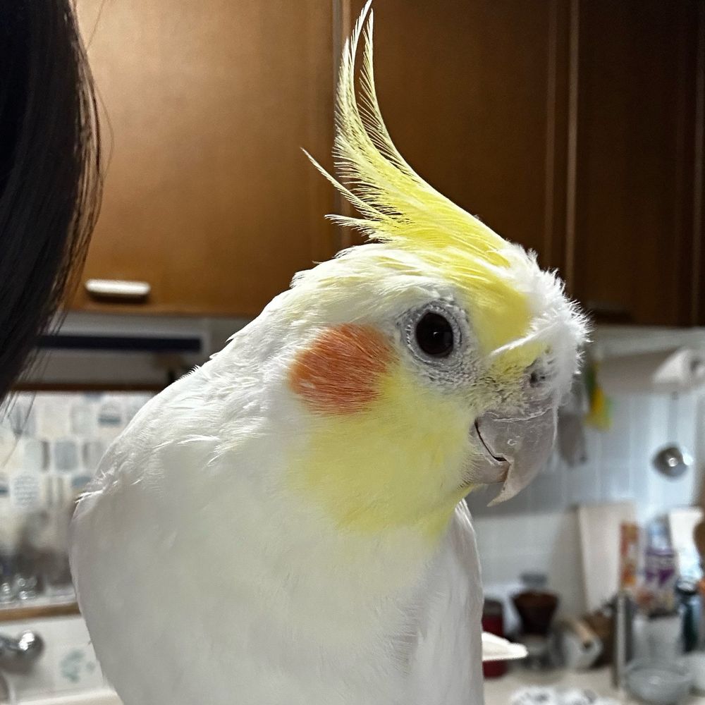 りくたろ