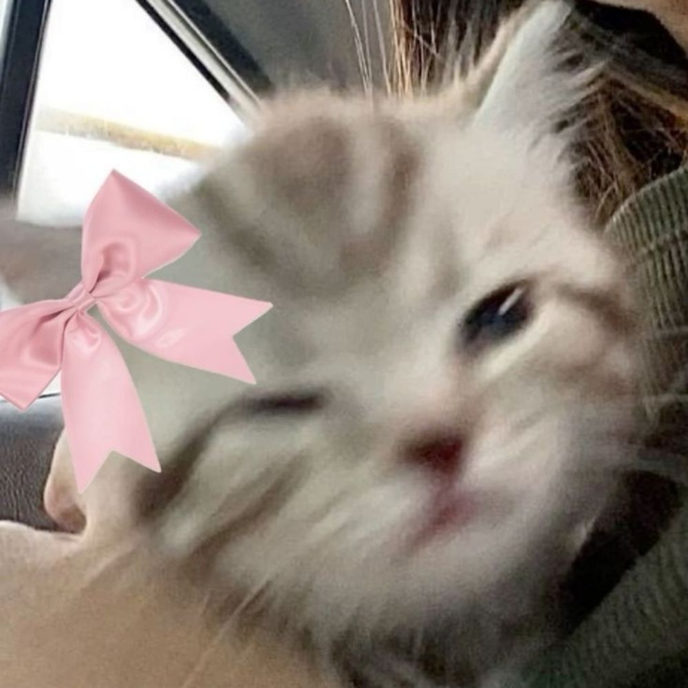 @_tata