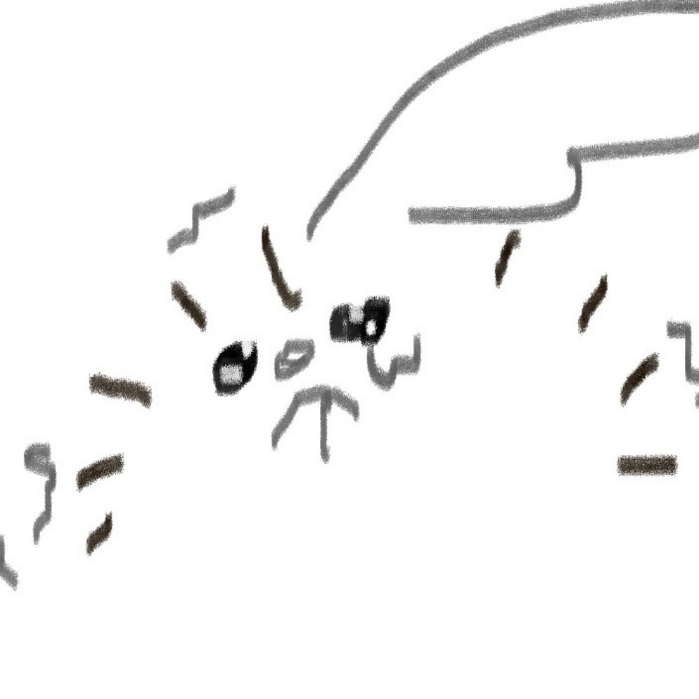 삡뺩