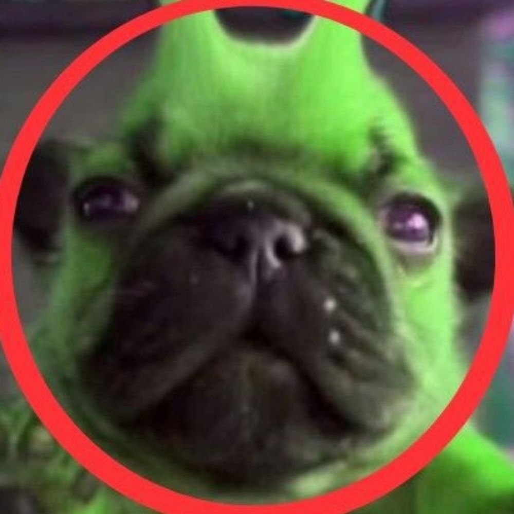 gab httyd rtc hannibal prexecude da sylva 
