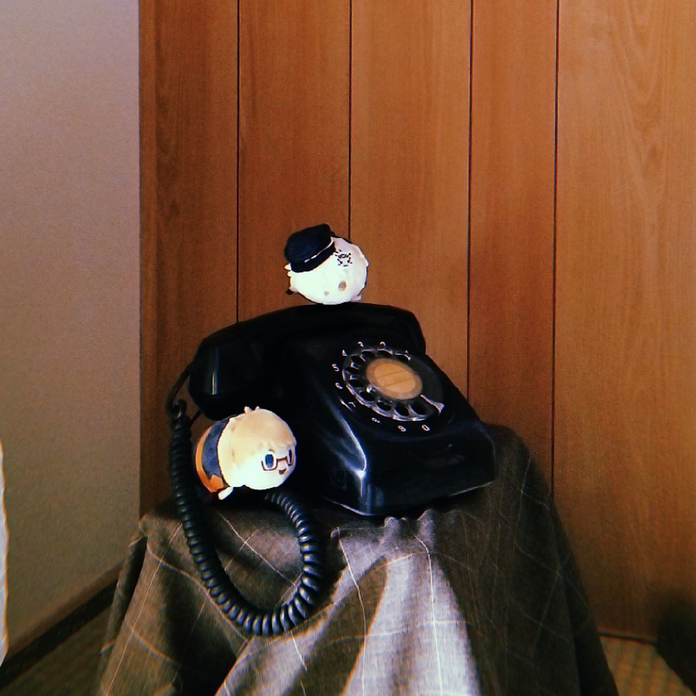 kokori04.bsky.social