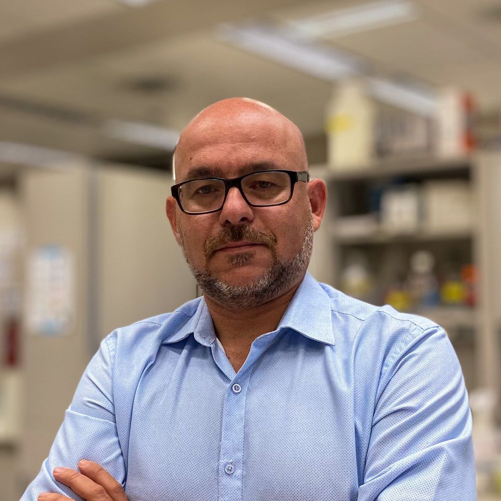 Mourad Ferdaoussi