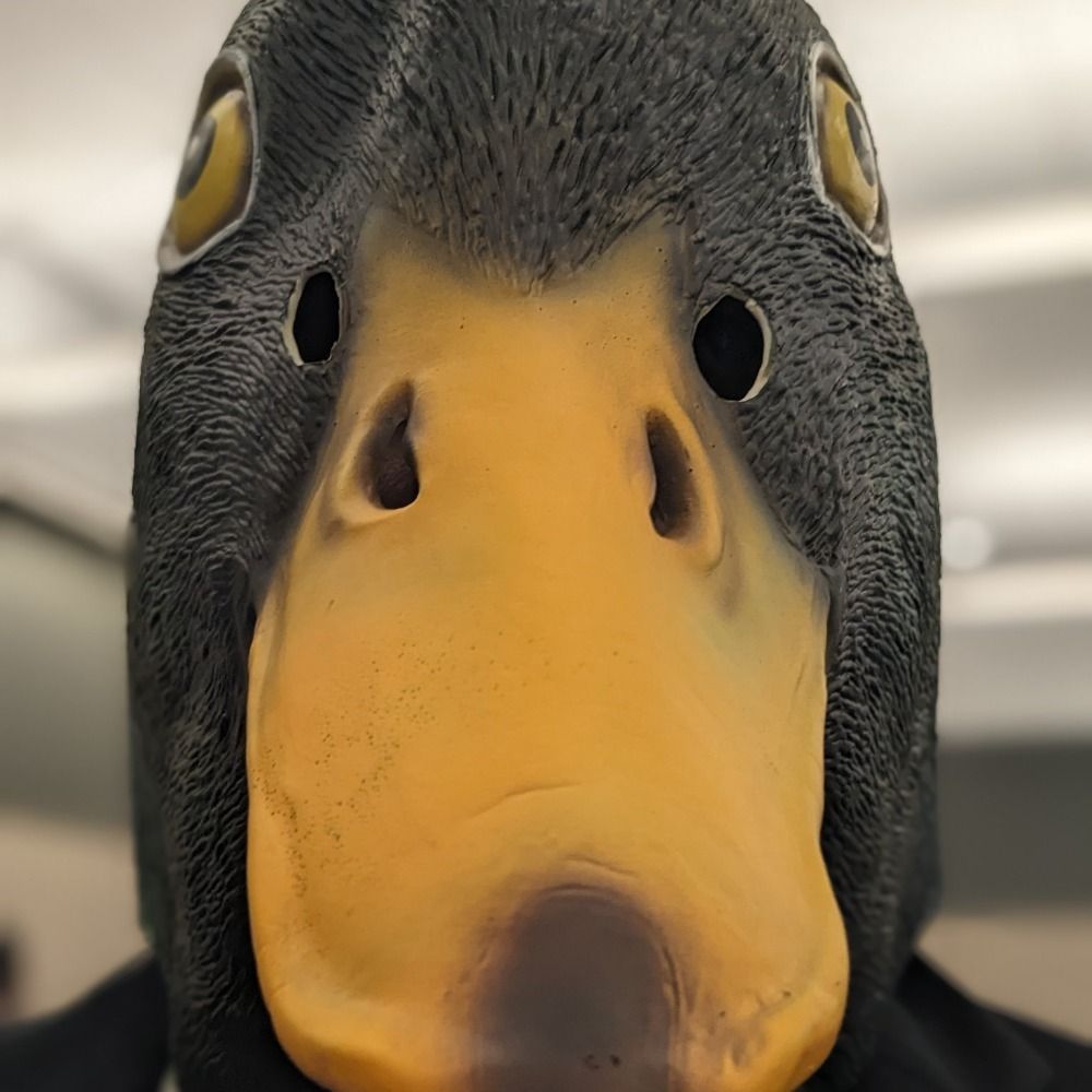 Goonman the duck