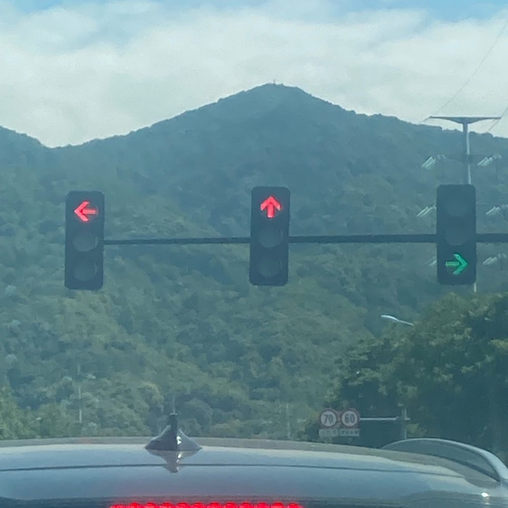 独狼