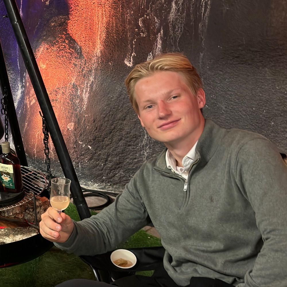 Henrik Hovi