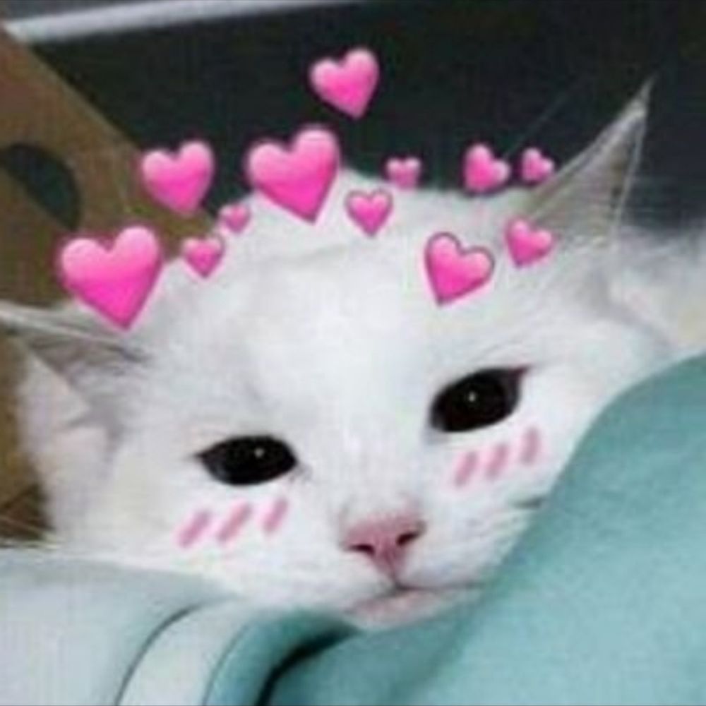 myl_123