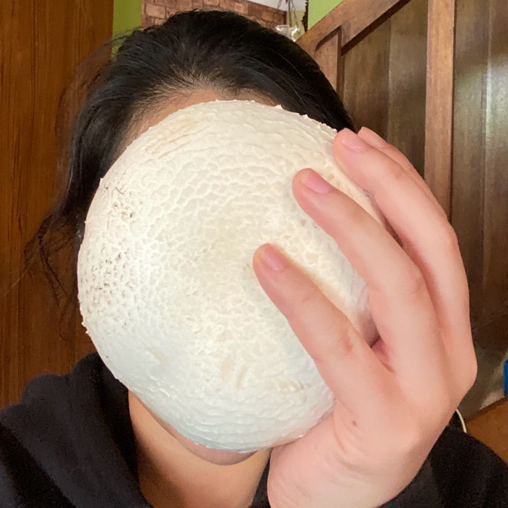 Meghann Thai