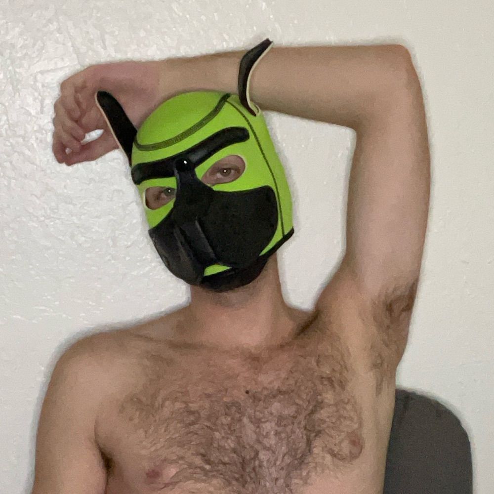 Pup Bandit