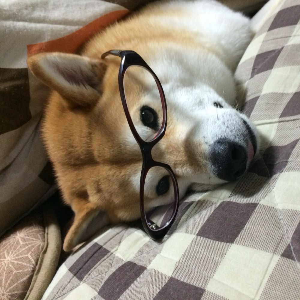 徒然日誌