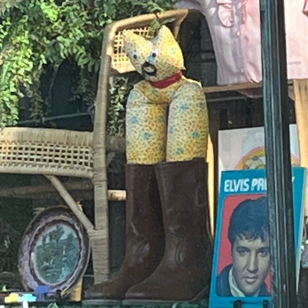 𝑅𝑜𝓉𝓉𝒾𝓃𝑔 𝒱𝑜𝒾𝒹