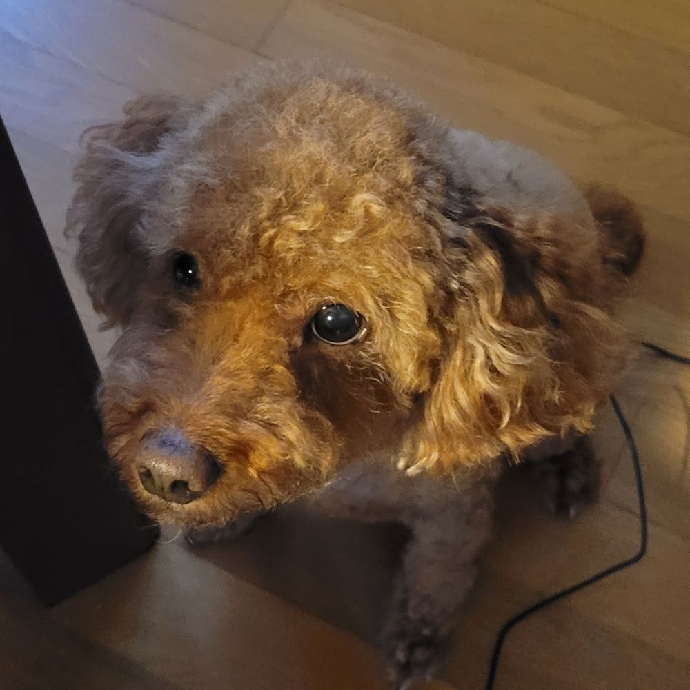풀