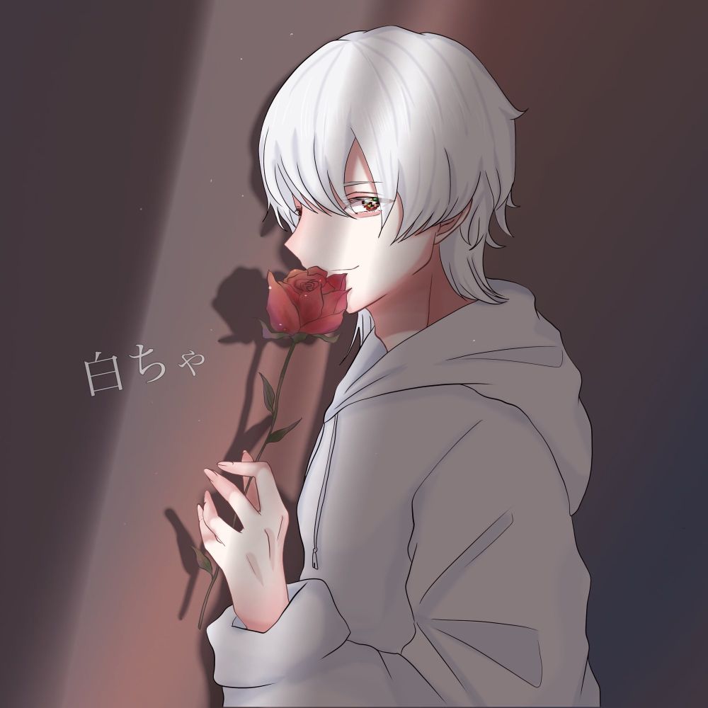 白ちゃ
