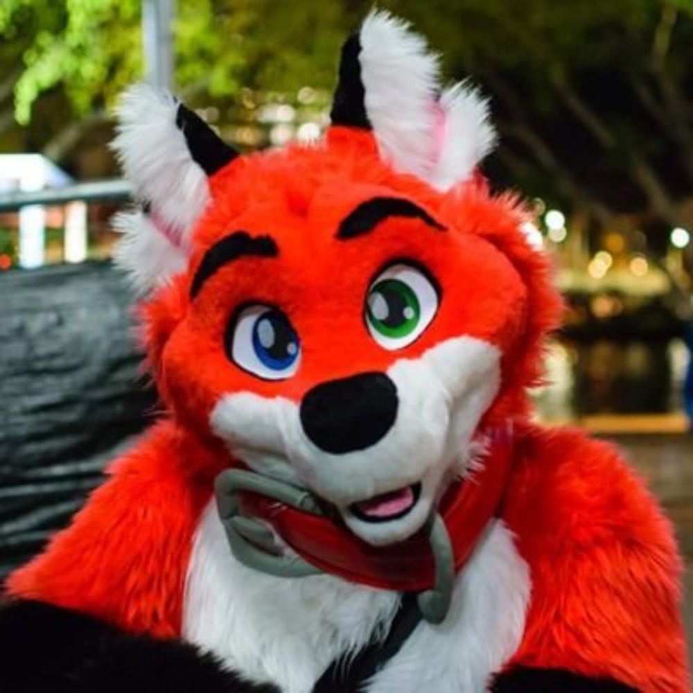 Boxer Fox