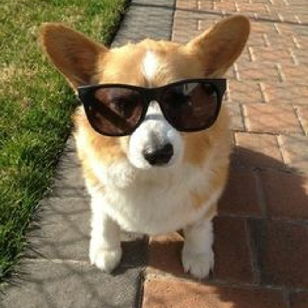 DionysianCorgi