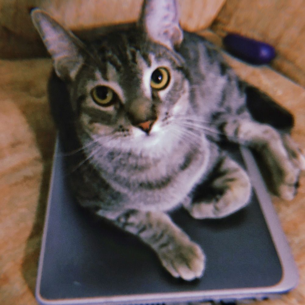 Juanito